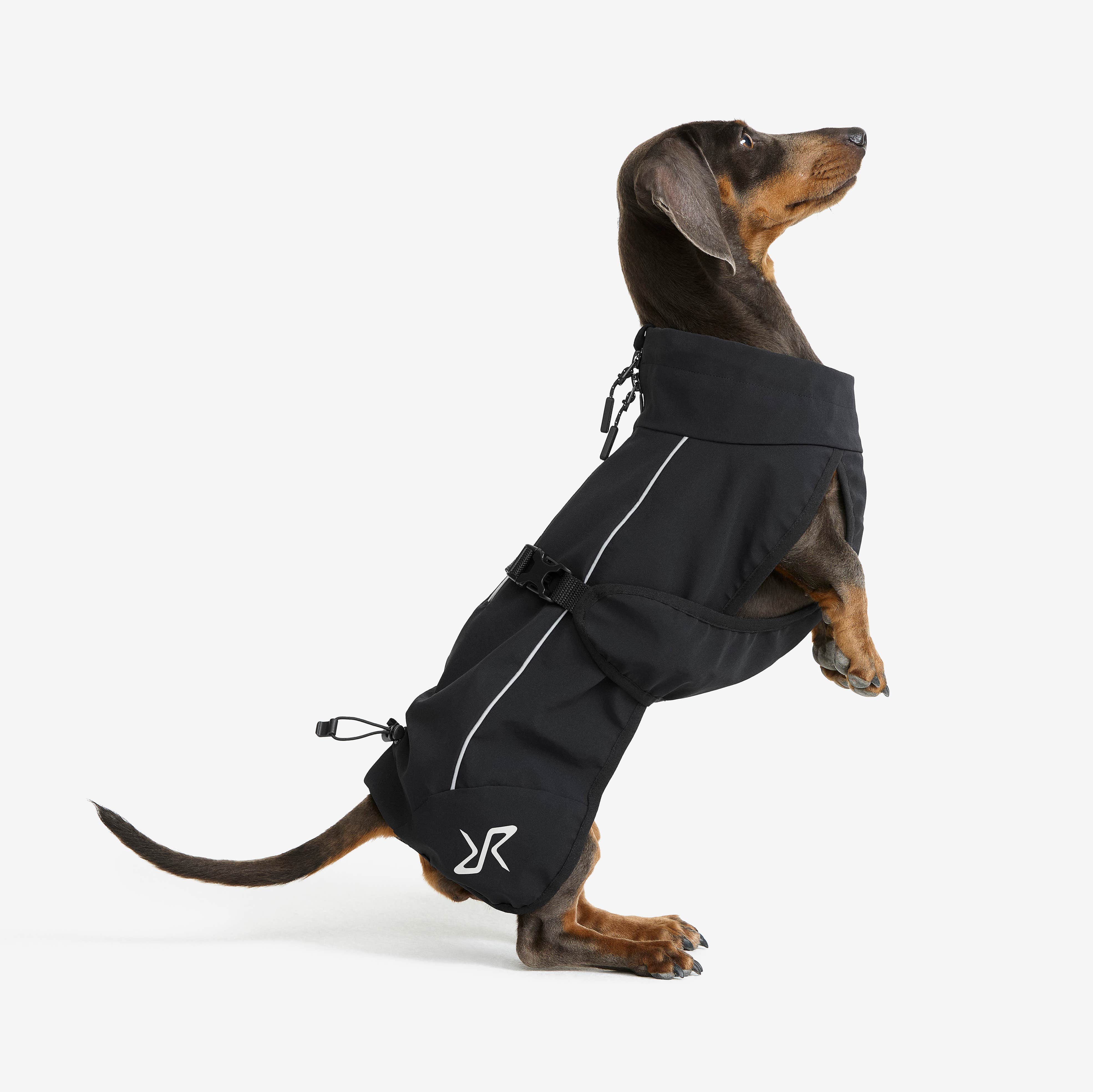 Cyclone Dog Jacket Hund Black