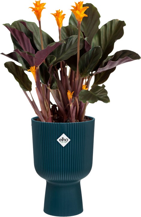 Elho bloempot op voet Vibes blauw D 13,9 H 21 cm