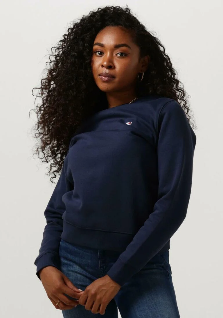 TOMMY JEANS blauwe tommy jeans sweater tjw regular fleece c neck