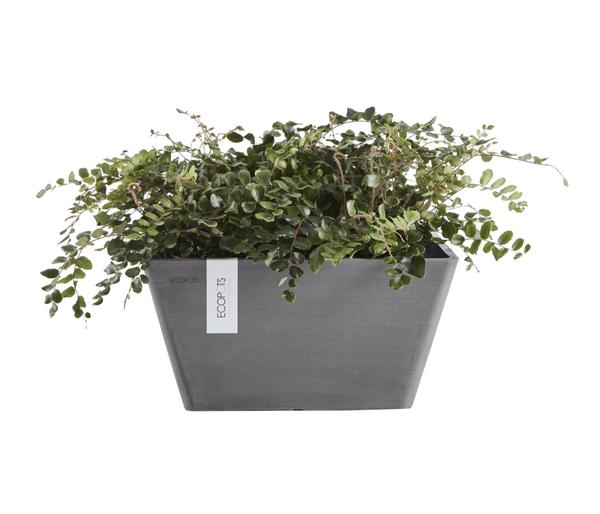 Ecopots Kunststoff-Topf Berlin, quadratisch