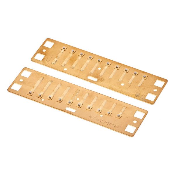 Lee Oskar Natural Minor Reedplates F#