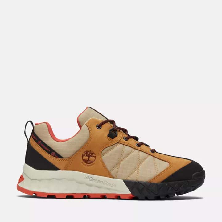 Chaussures de randonnée imperméables Trailquest Timberland x Icebreaker pour homme en jaune
