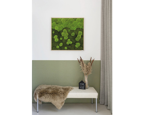 Forest & Ball Moss Fotolijst Eikenlook 80x80 cm