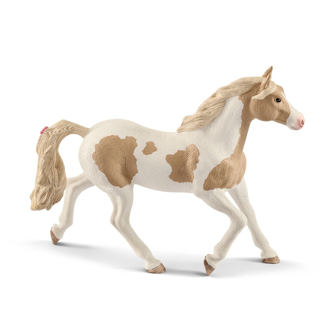 HORSE CLUB - Paint Horse Stute