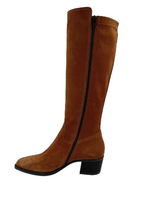 DL Sport 6426 Camel (vers 02)