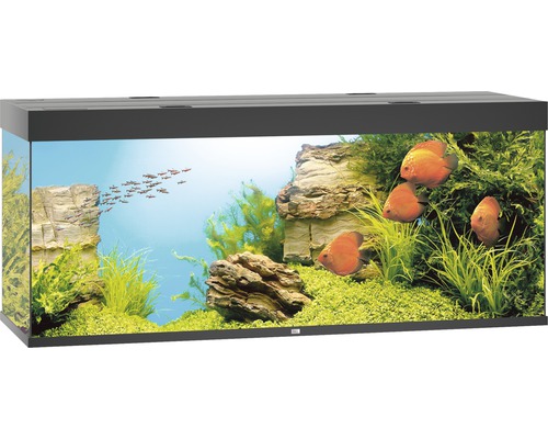 JUWEL Rio 450 aquarium met LED-verlichting, pomp, filter, verwarming (zonder kast), zwart