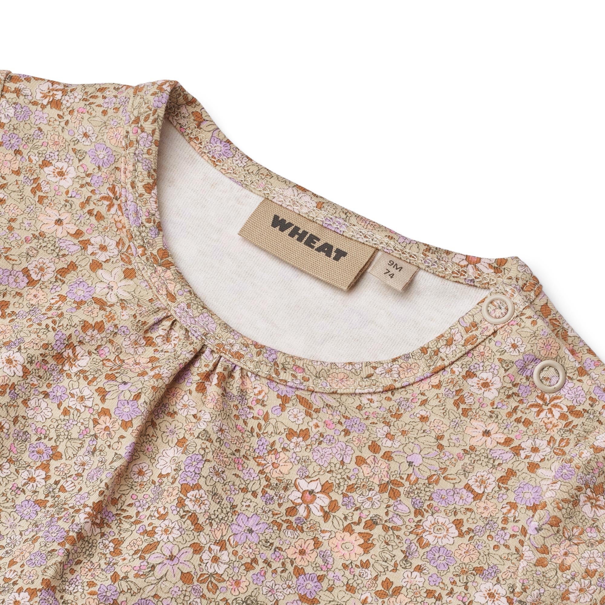 Wheat Body Liv