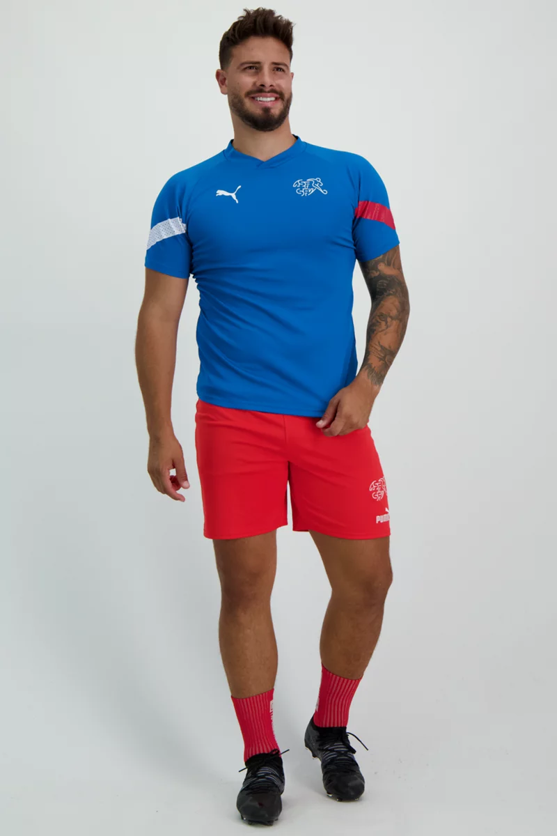 Puma Schweiz Training Herren T-Shirt