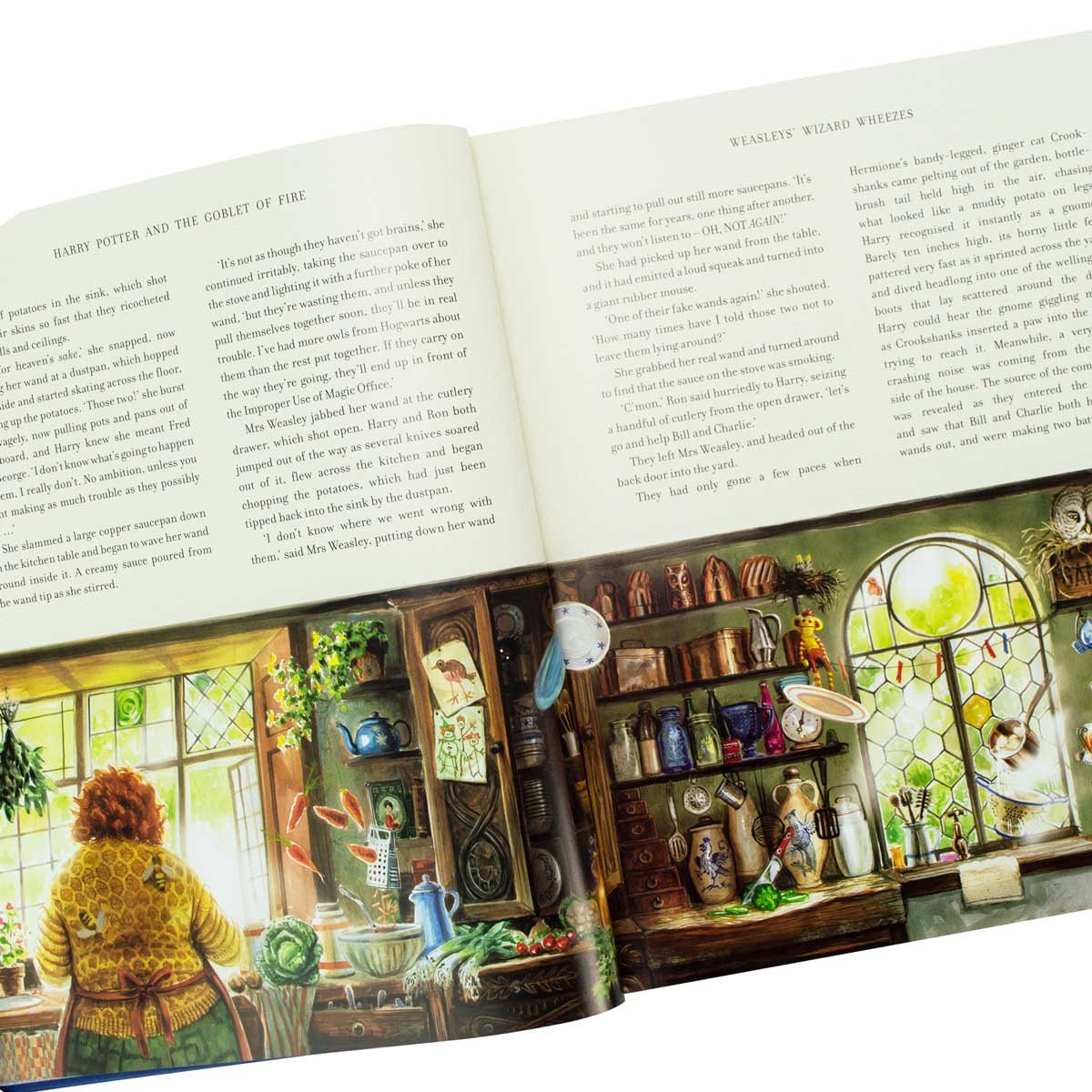 Harry Potter and the Goblet of Fire: Illustrated Edition (Hardback)