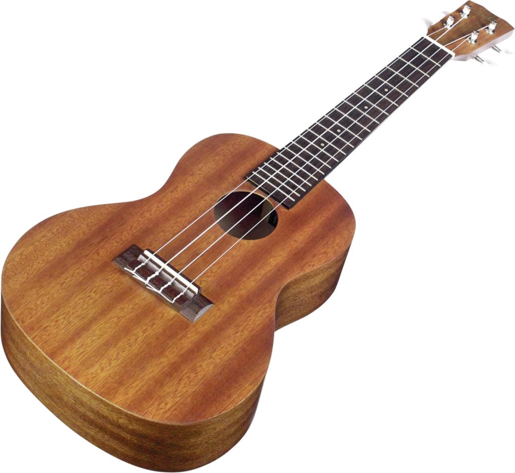 Cordoba UP100 Ukulele Pack concert ukelele set