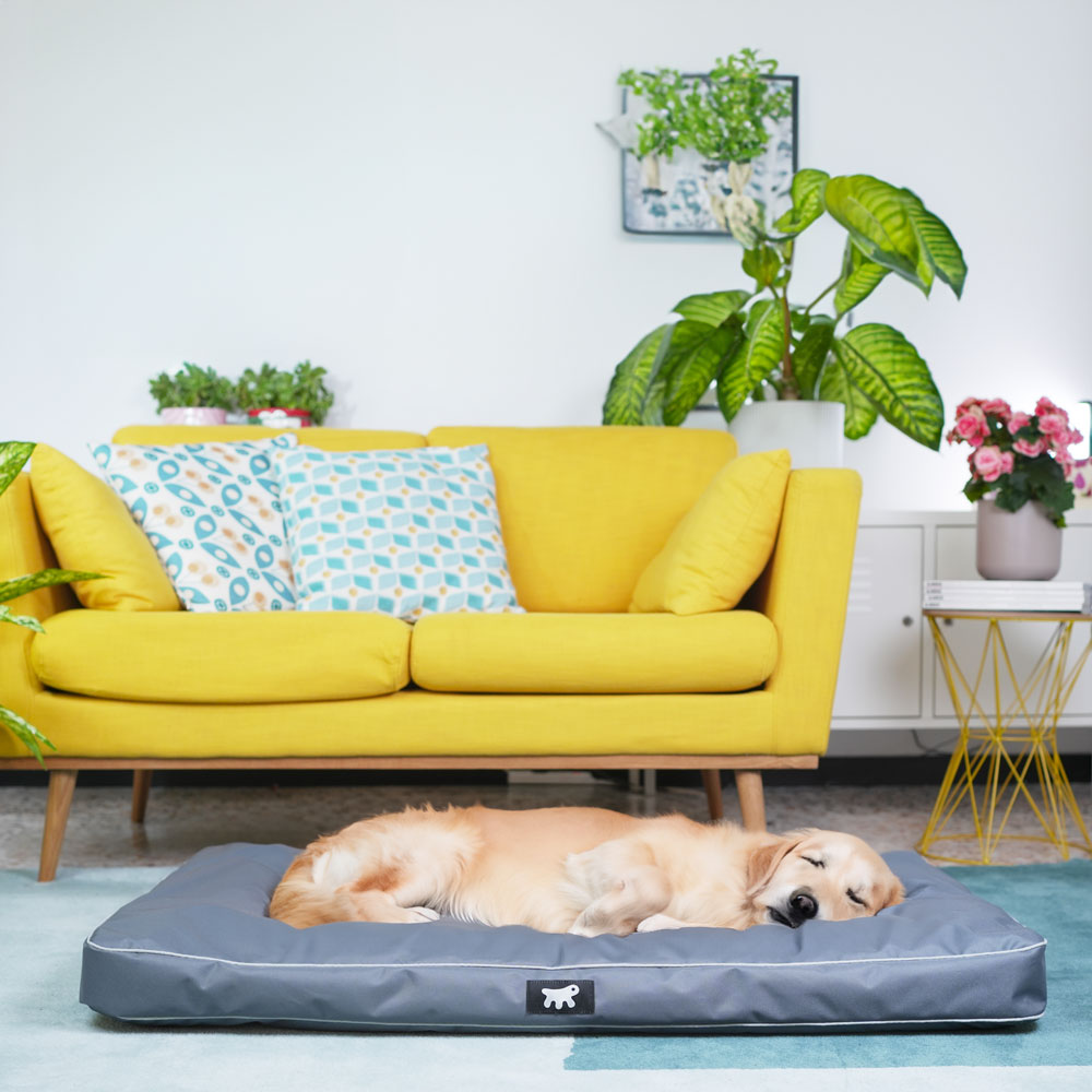 Ferplast panier chien chat - coussin orthopédique chien - lavable en machine - tapis chien - lit chat chien - imperméable &
