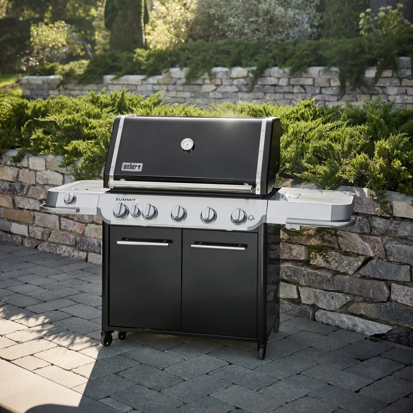 Weber Gassgrill Summit E FS38