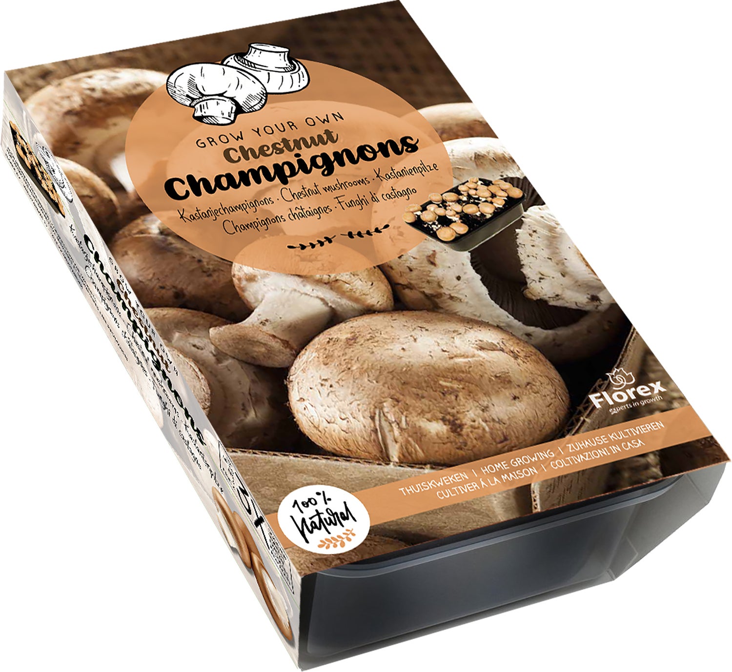 Florex Farm fresh kweekset Bruine champignons