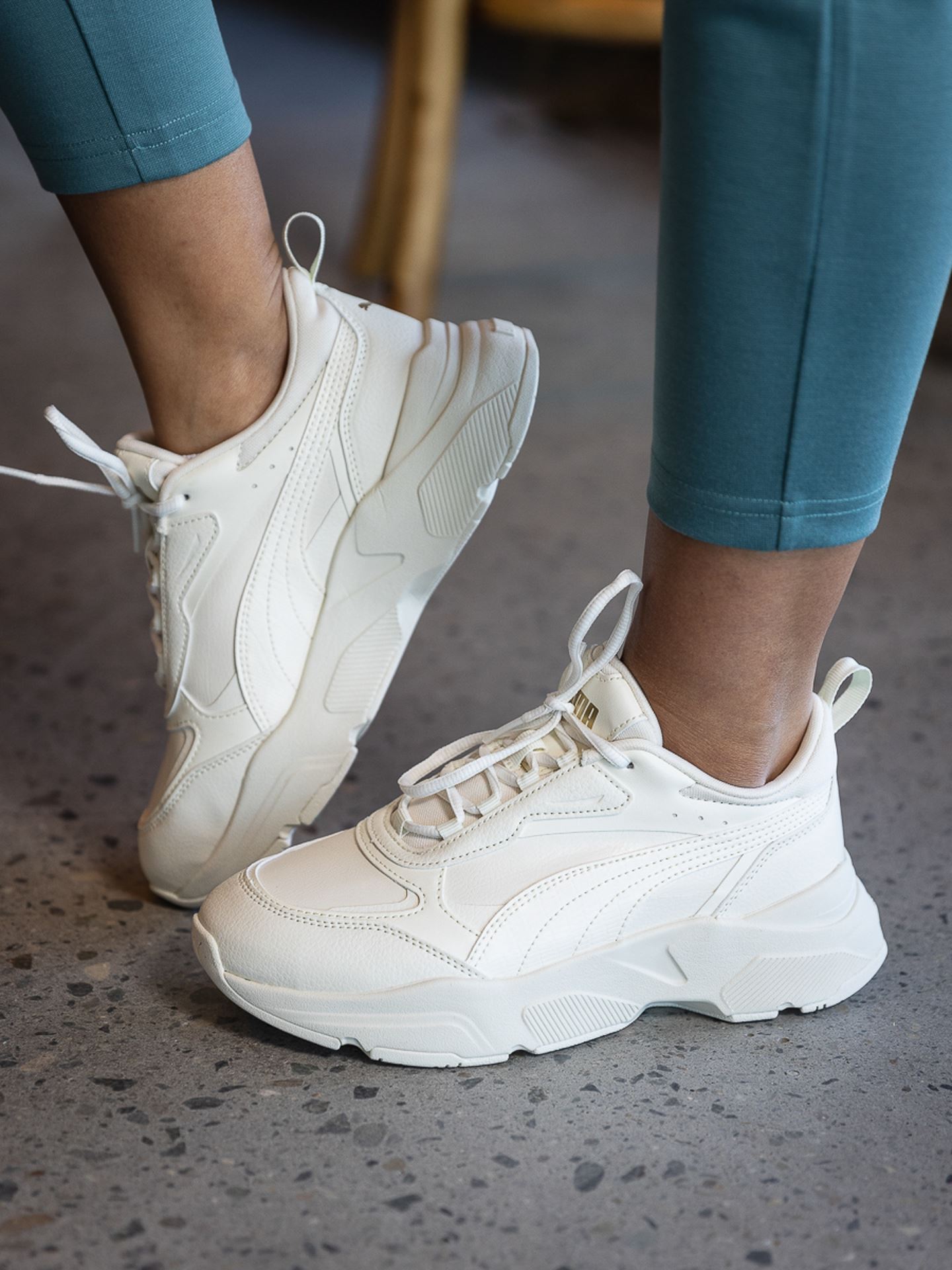 Cassia SL