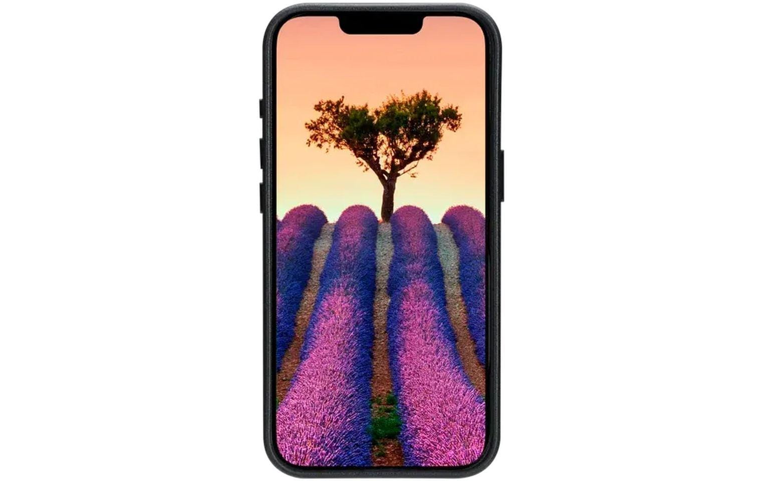 Book Cover Roskilde iPhone 16e BlackSchutzhülle aus Leder mit MagSafe-Funktion für das Apple iPhone 16e