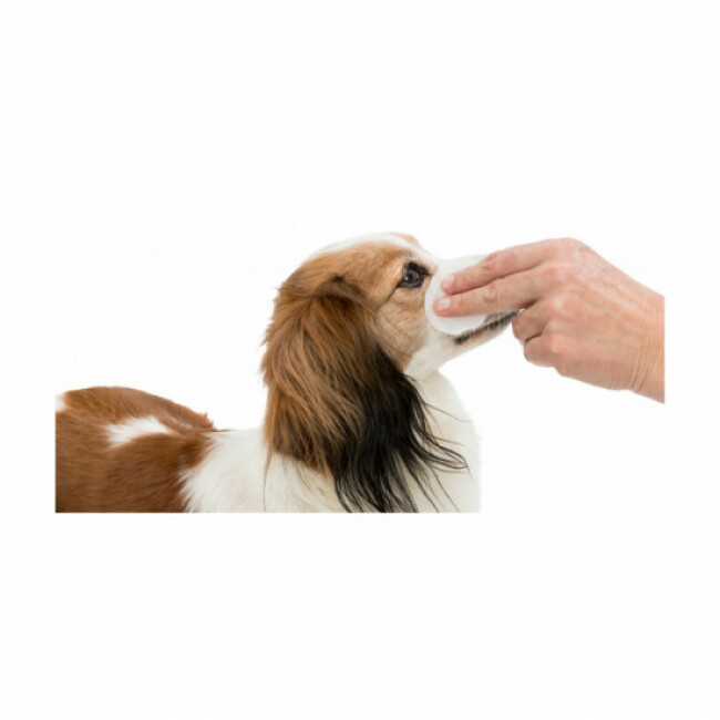 Compresses de nettoyage pour yeux du chien et du chat Trixie