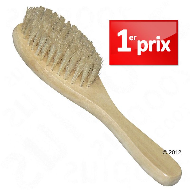Brosse en poils naturels