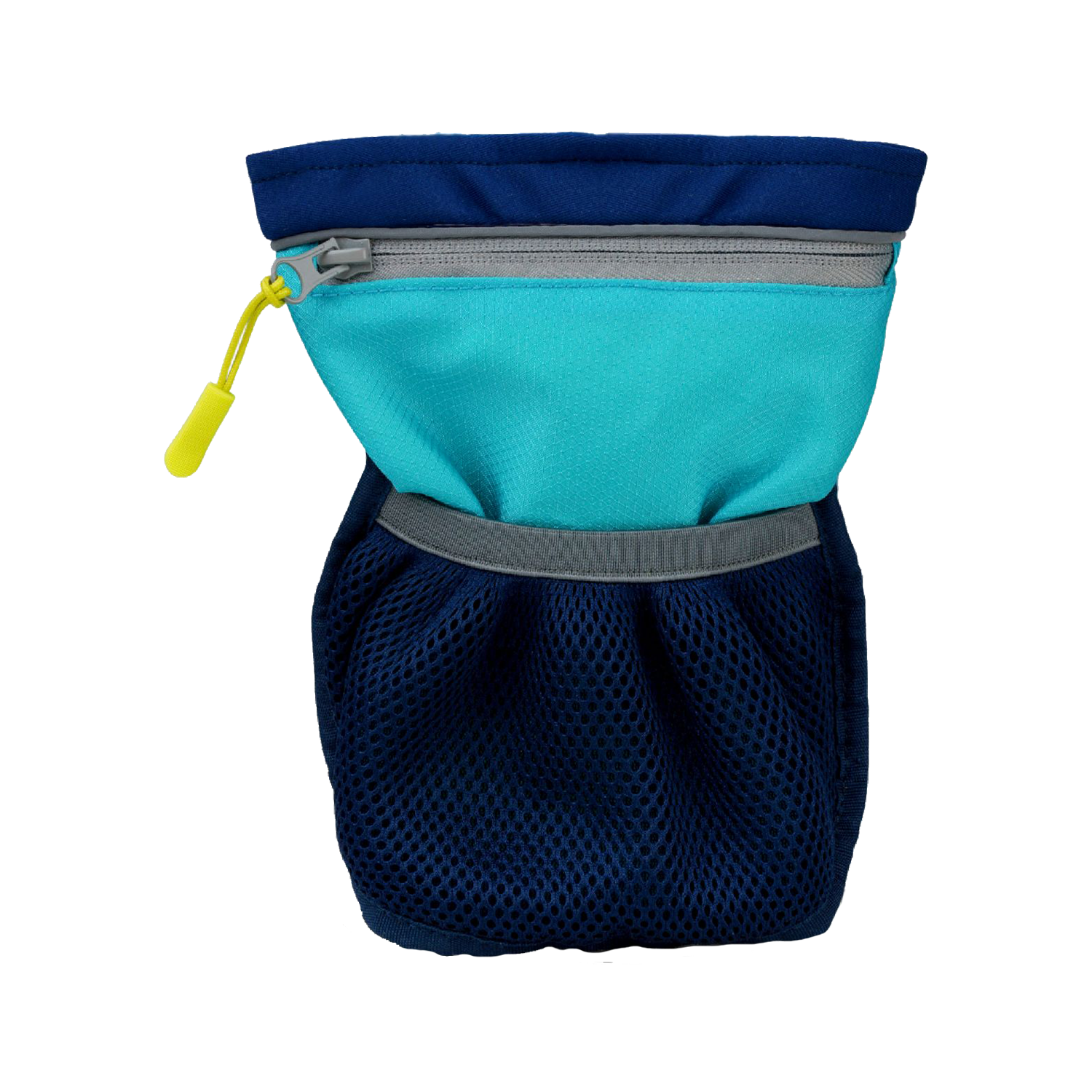 Coachi Pro Train & Treat Bag