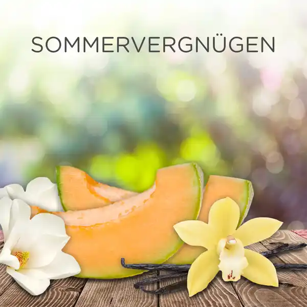 Duftölflakon Nachfüller Duo Sommervergnügen