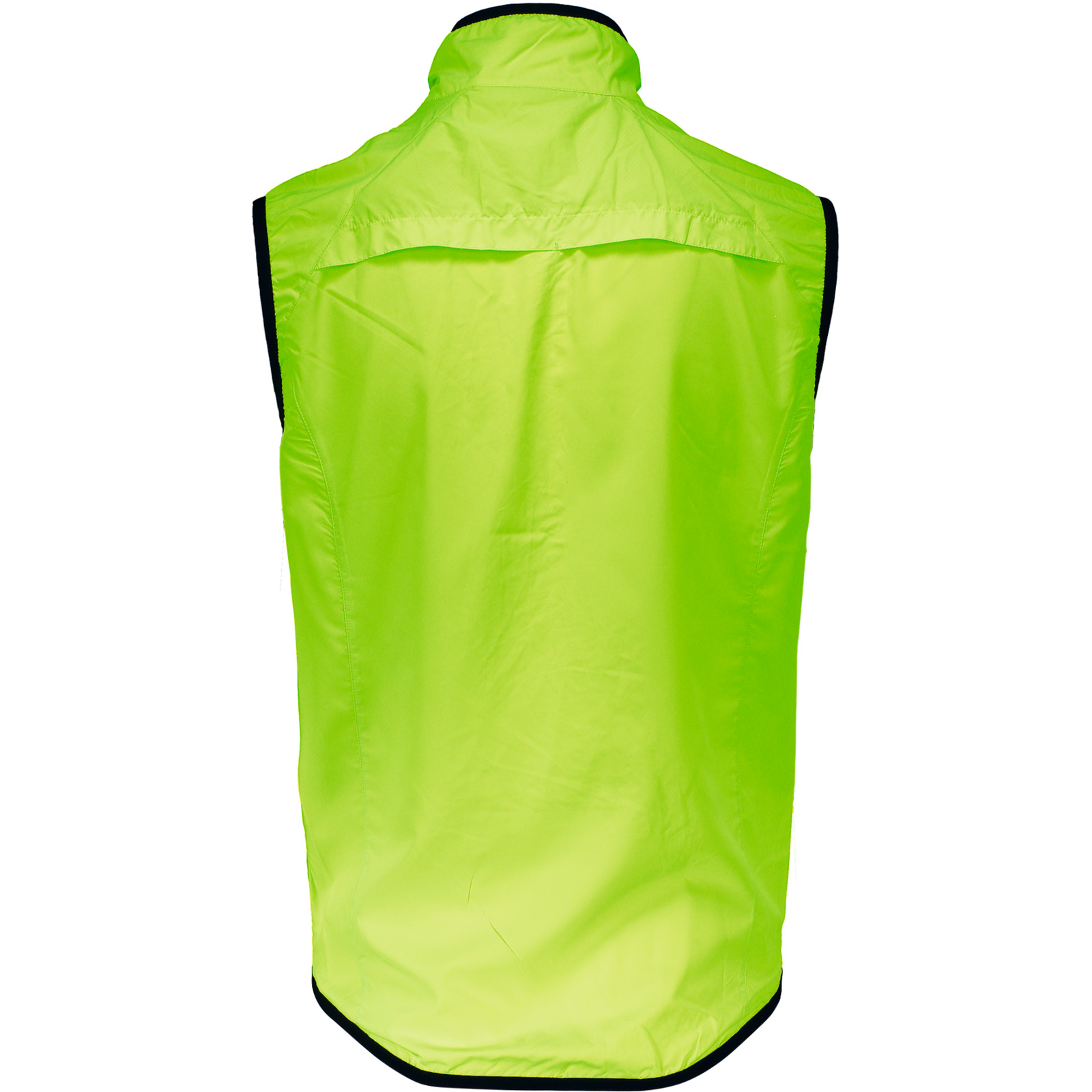 Nalini Herren-Radveste Arietta L