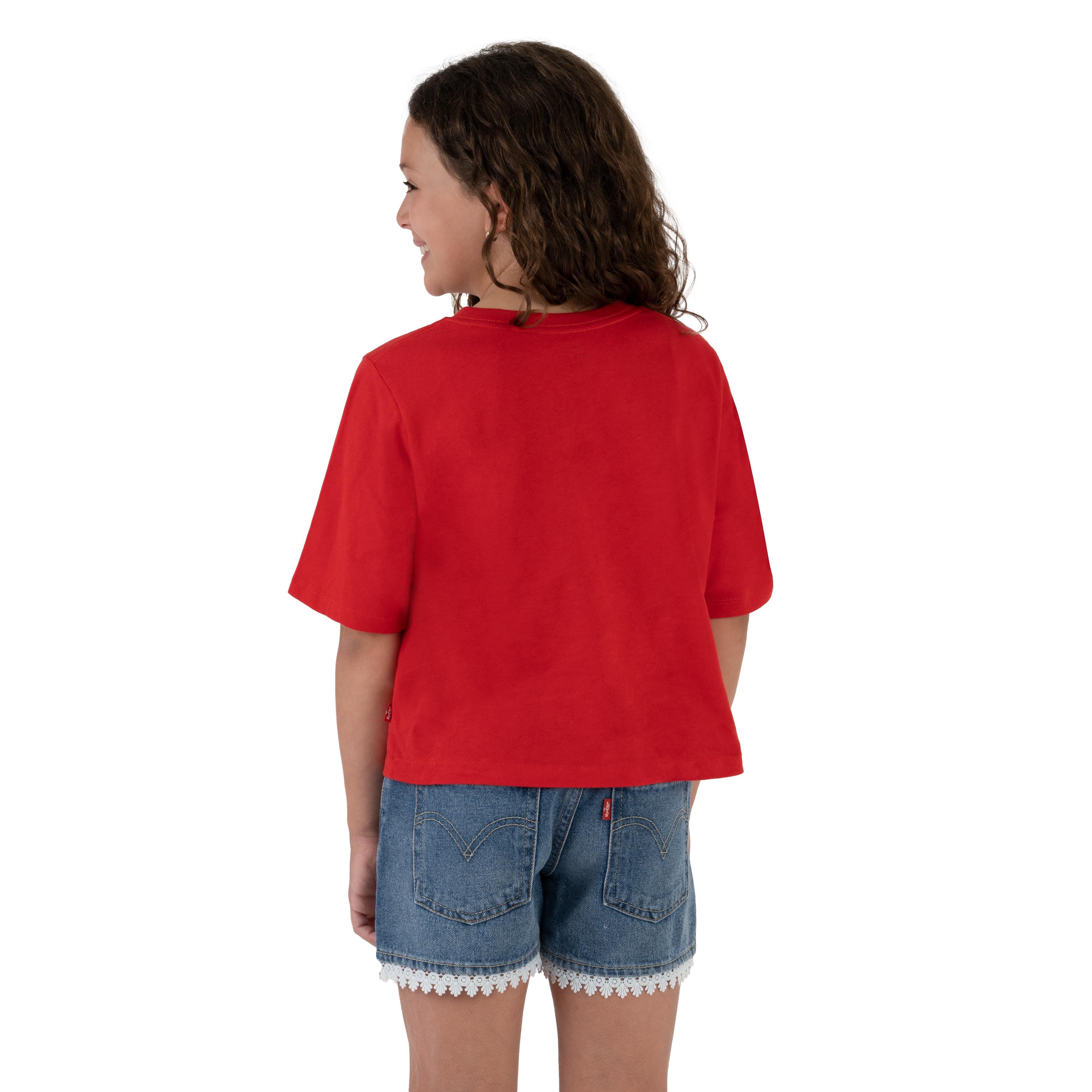 Levis Batwing T Shirt