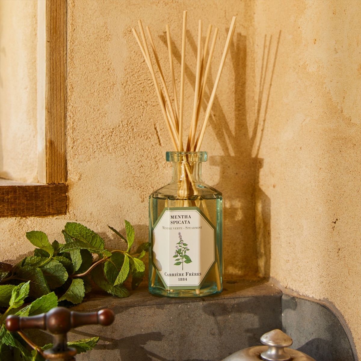 CARRIÈRE FRÈRES Menthe Verte - Mentha Spicata Diffuseur de Parfum