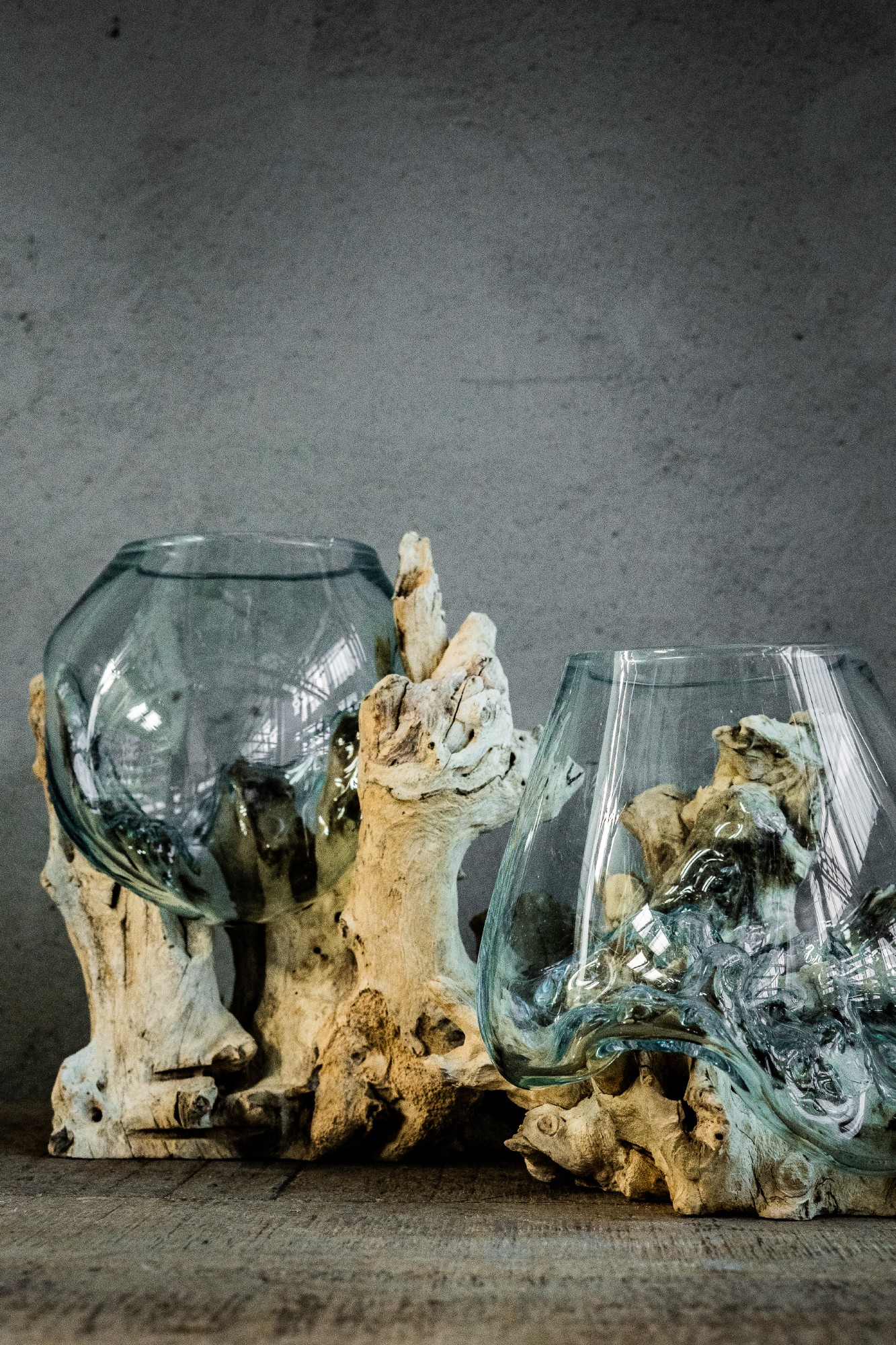 Glasvase aus Wurzelholz, natur, T 10 - 15 cm, B 15 - 23 cm, H 14 - 17 cm von fischer's lagerhaus