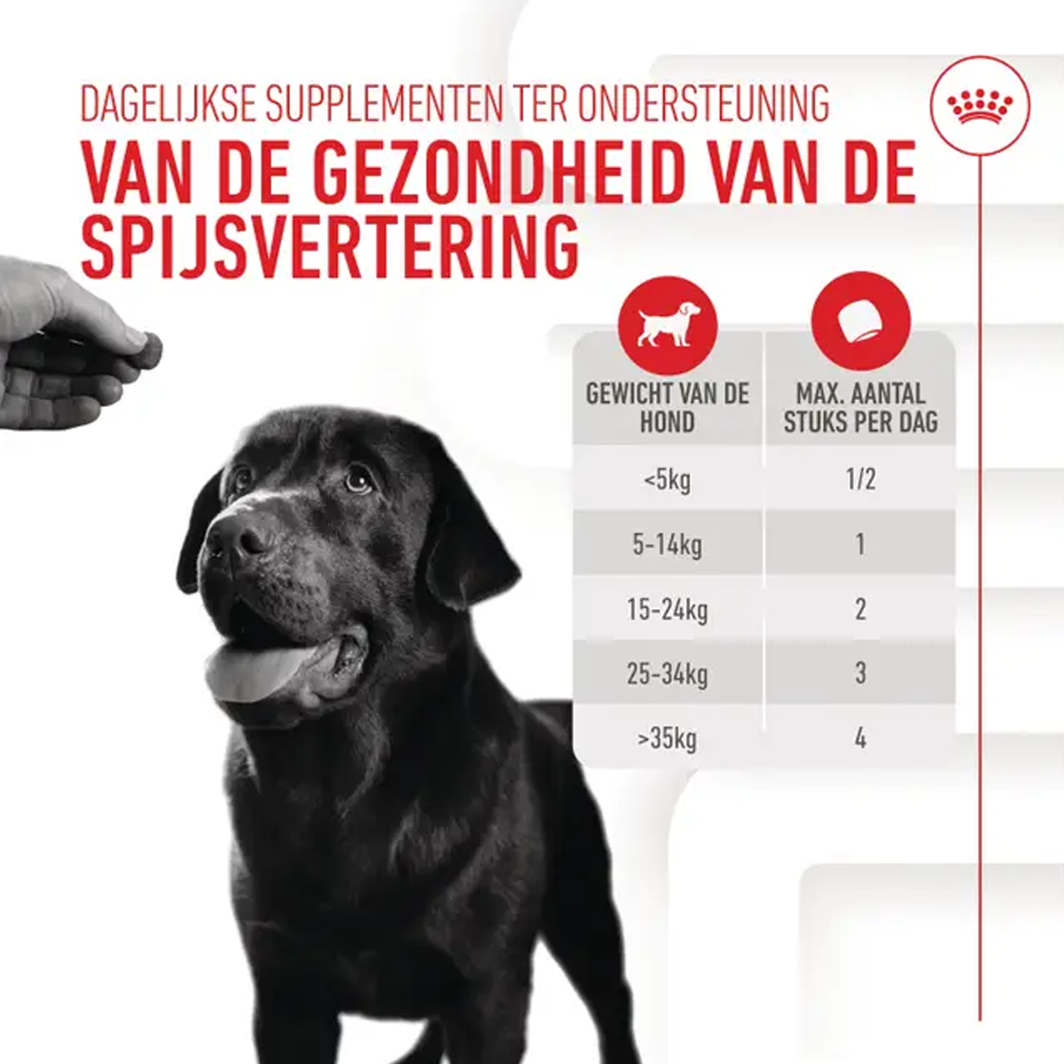 Royal Canin Digestion Supplements Chews Hond