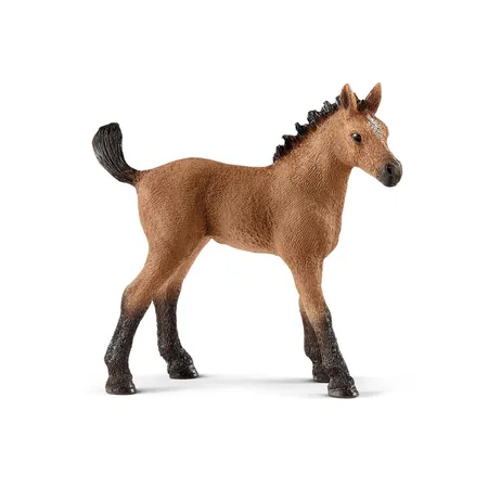 Schleich® 13854 Horse Club Quarter Horse Fohlen