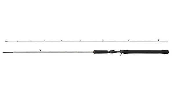 Canne Casting Abu Garcia Beast X Trolling Baitcaster