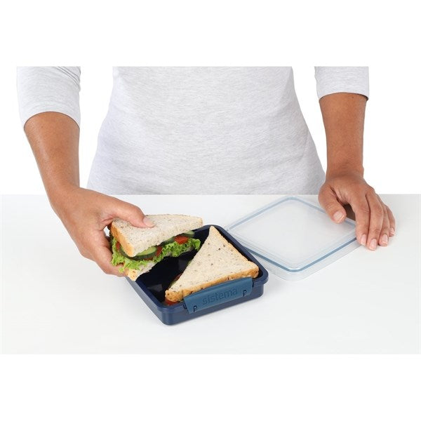 Renew To Go Sandwich Madkasse 450 ml Blå