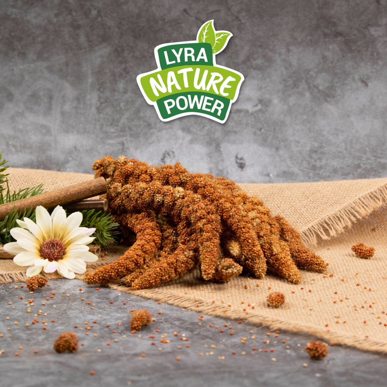 Lyra Pet Kolbenhirse rot 1 kg