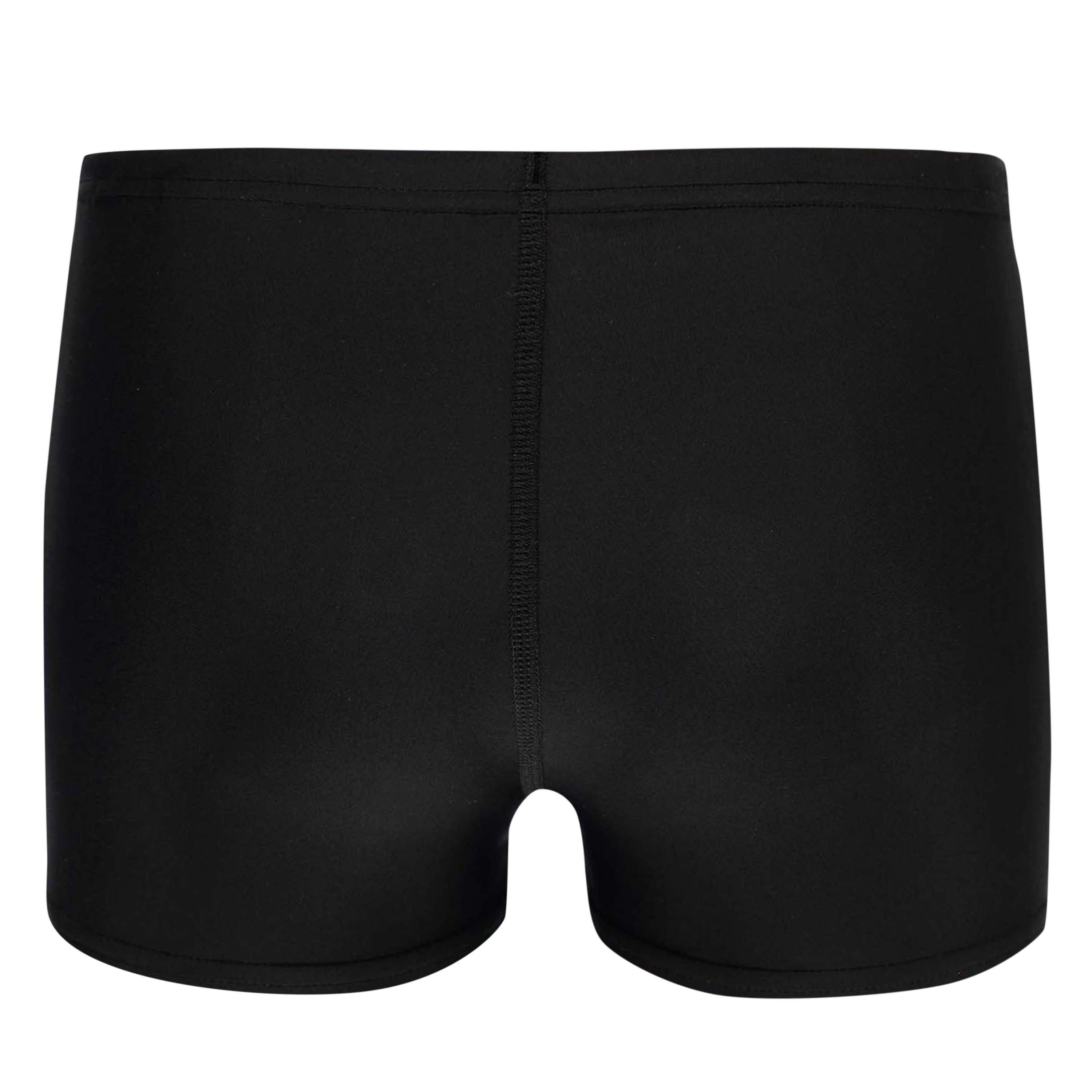 Speedo Tech Placement Shorts