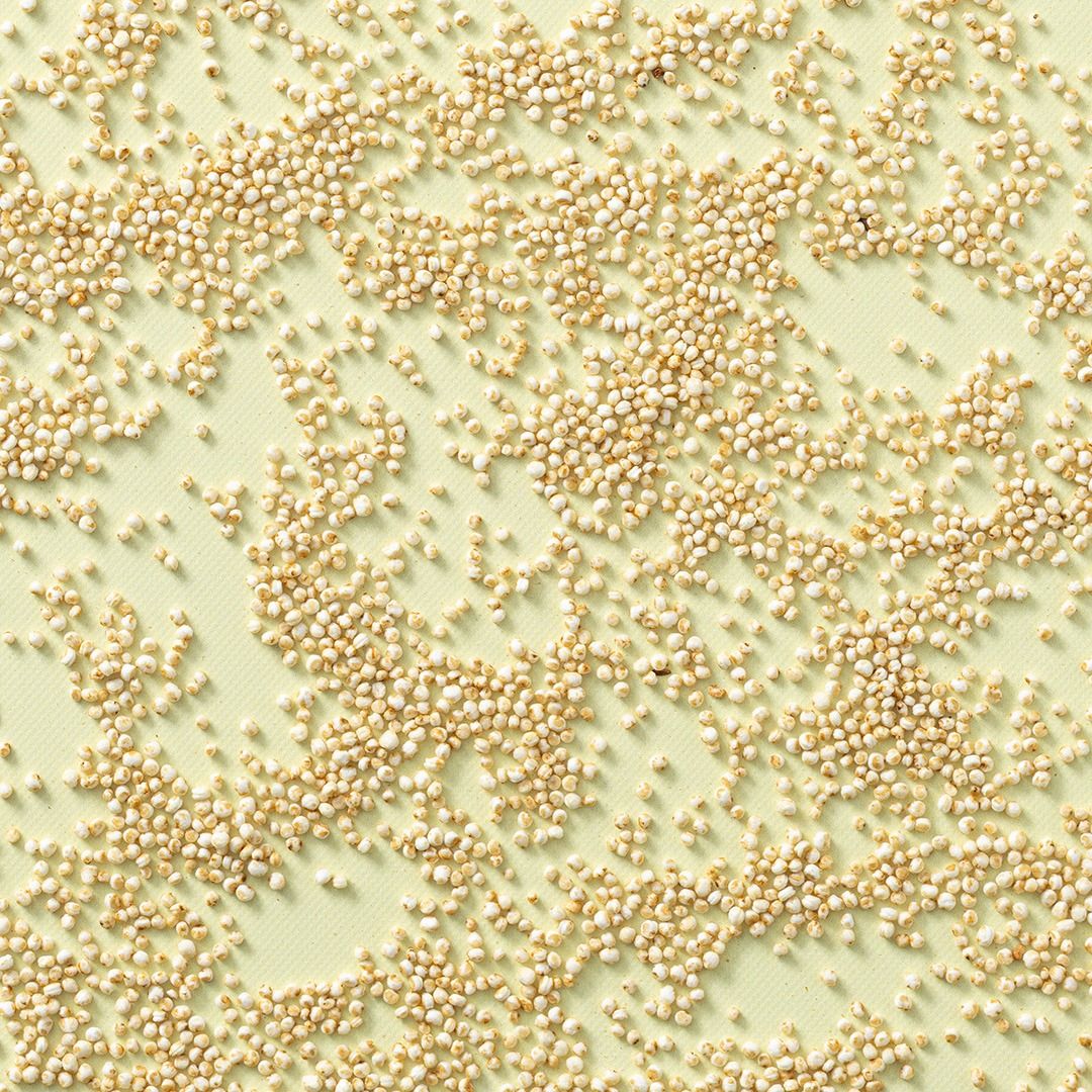 Quinoa gepoft