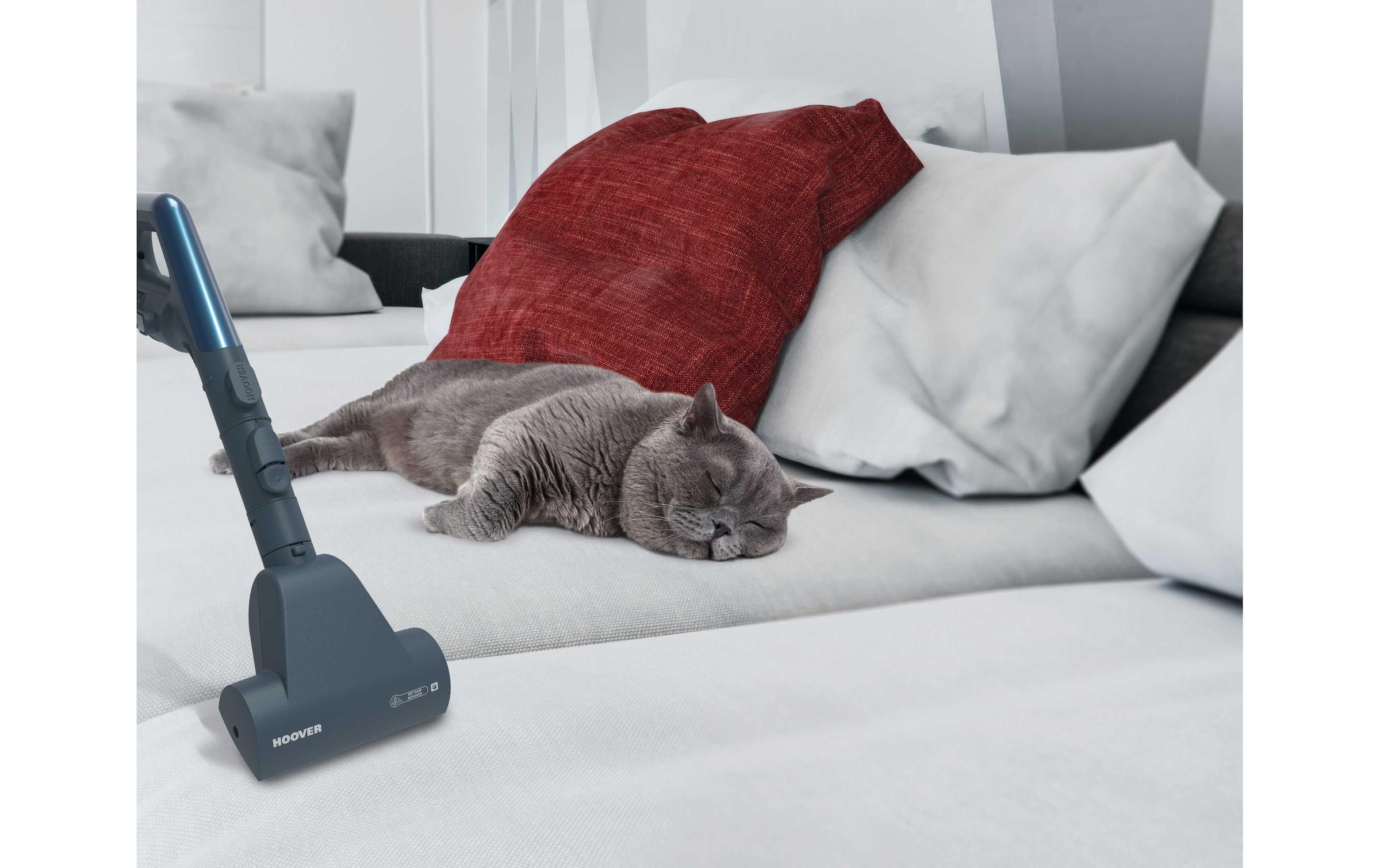 Hoover Bodenstaubsauger »Hoover Schlittenstaubsauger TX60PET 021« 450 W mit Beutel