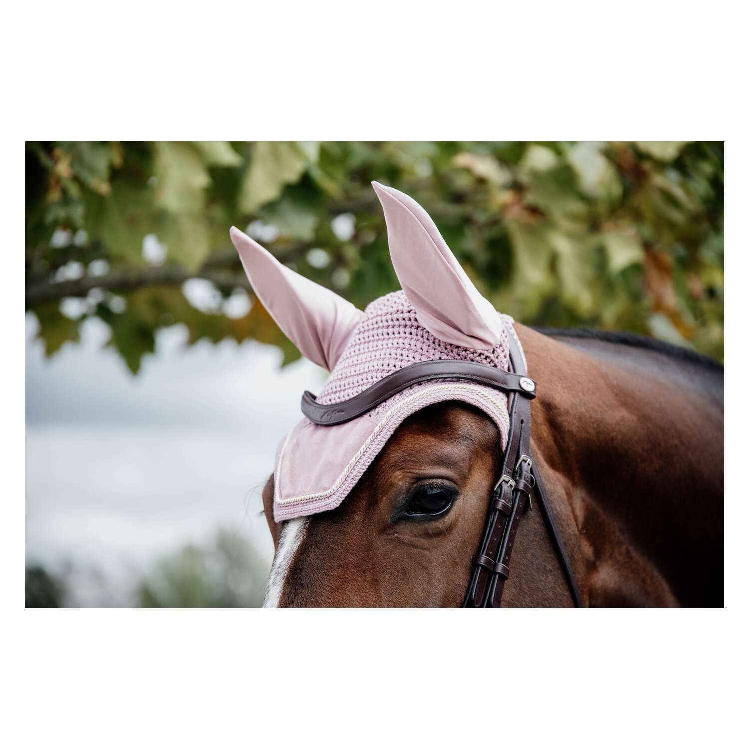 KENTUCKY Fliegenhaube Wellington Velvet  - altrosa - Warmblut