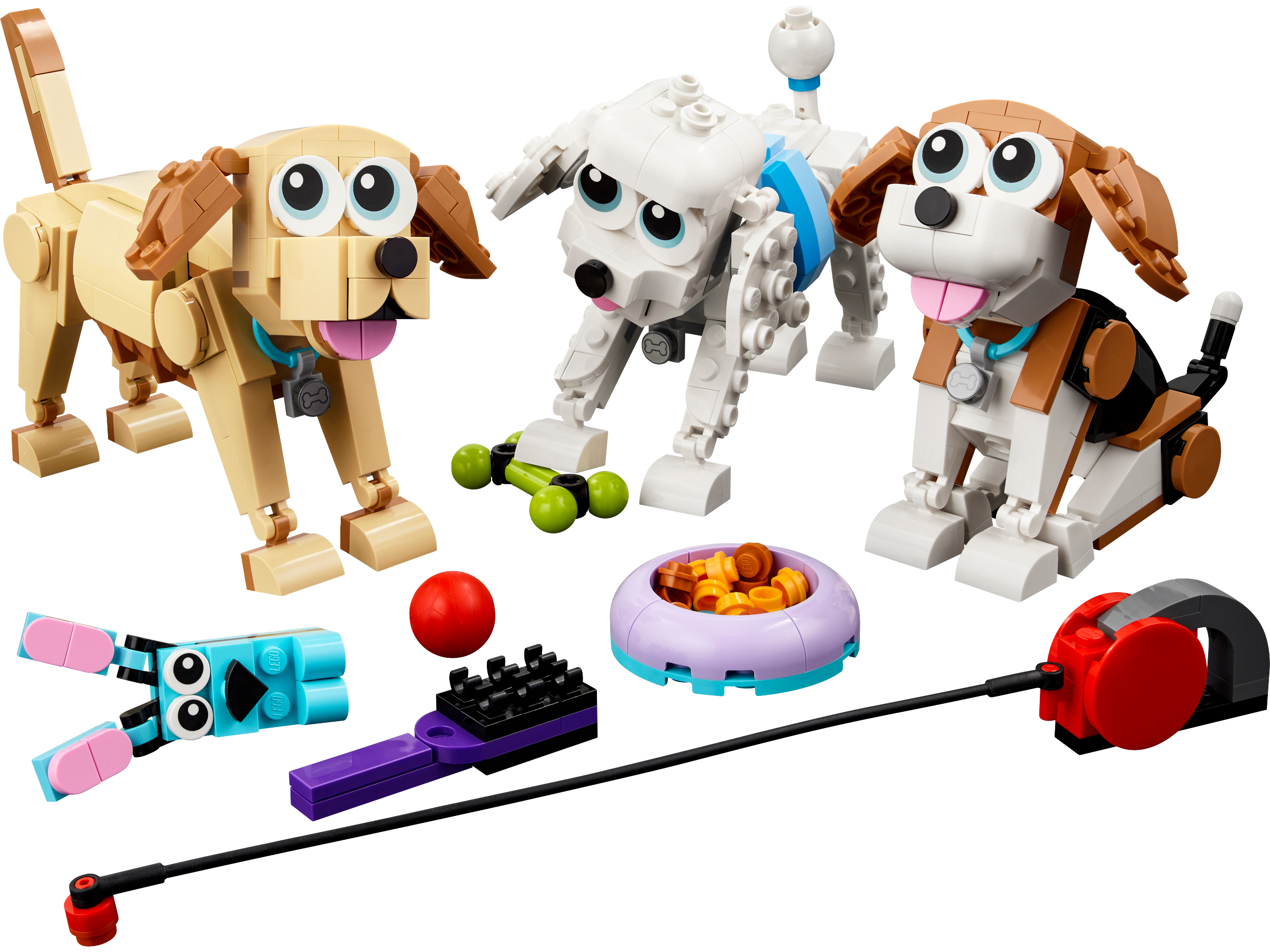Cães adoráveis 31137