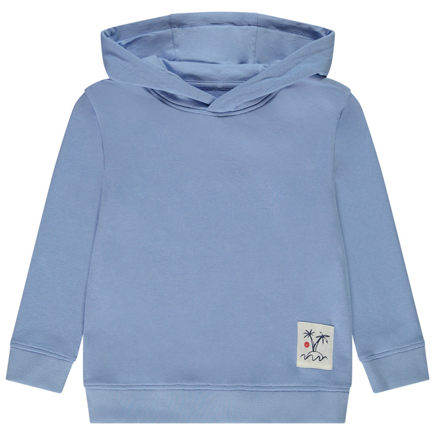 Sweat à capuche en molleton uni pour garçon