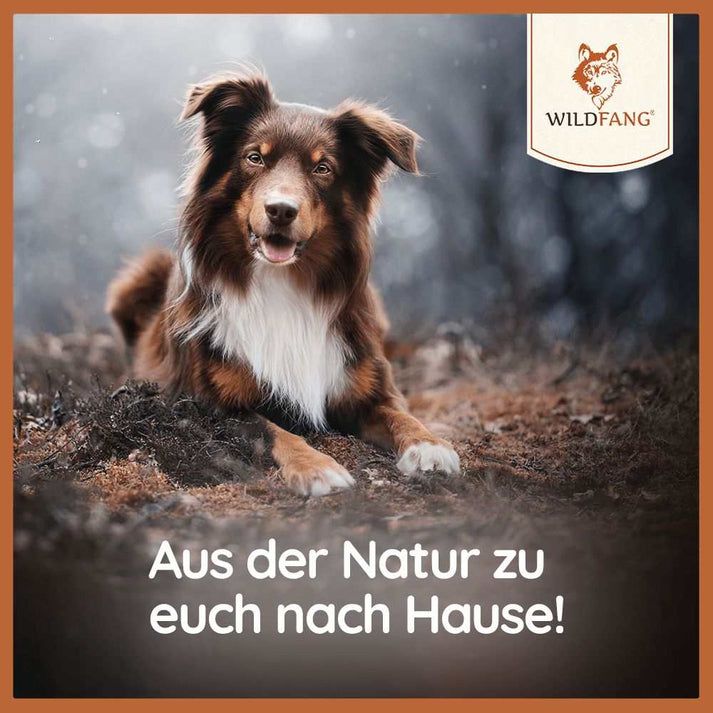 WILDFANG® Lederknochen
