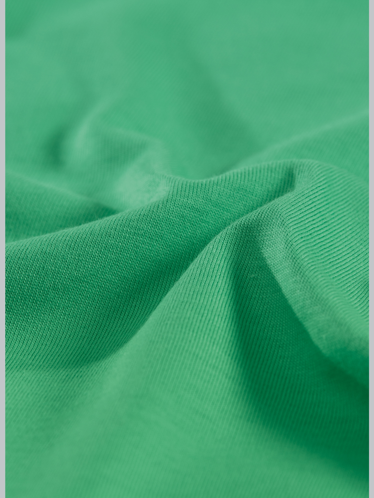 Stoffcoupon in Single-Jersey Waldmeister