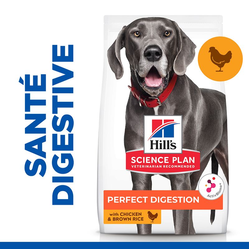 Hill's Science Plan Adult Perfect Digestion Large