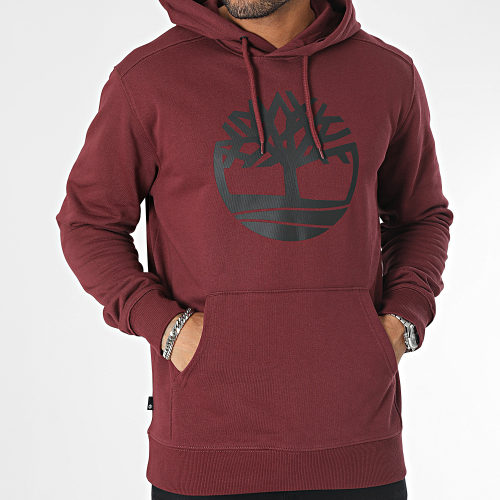 Sweat Capuche Core Logo A2BJH Bordeaux