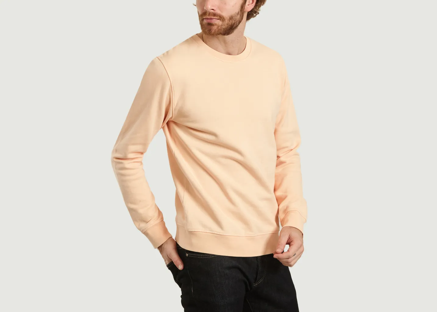 Sweat Uni Classique En Coton Bio Colorful Standard