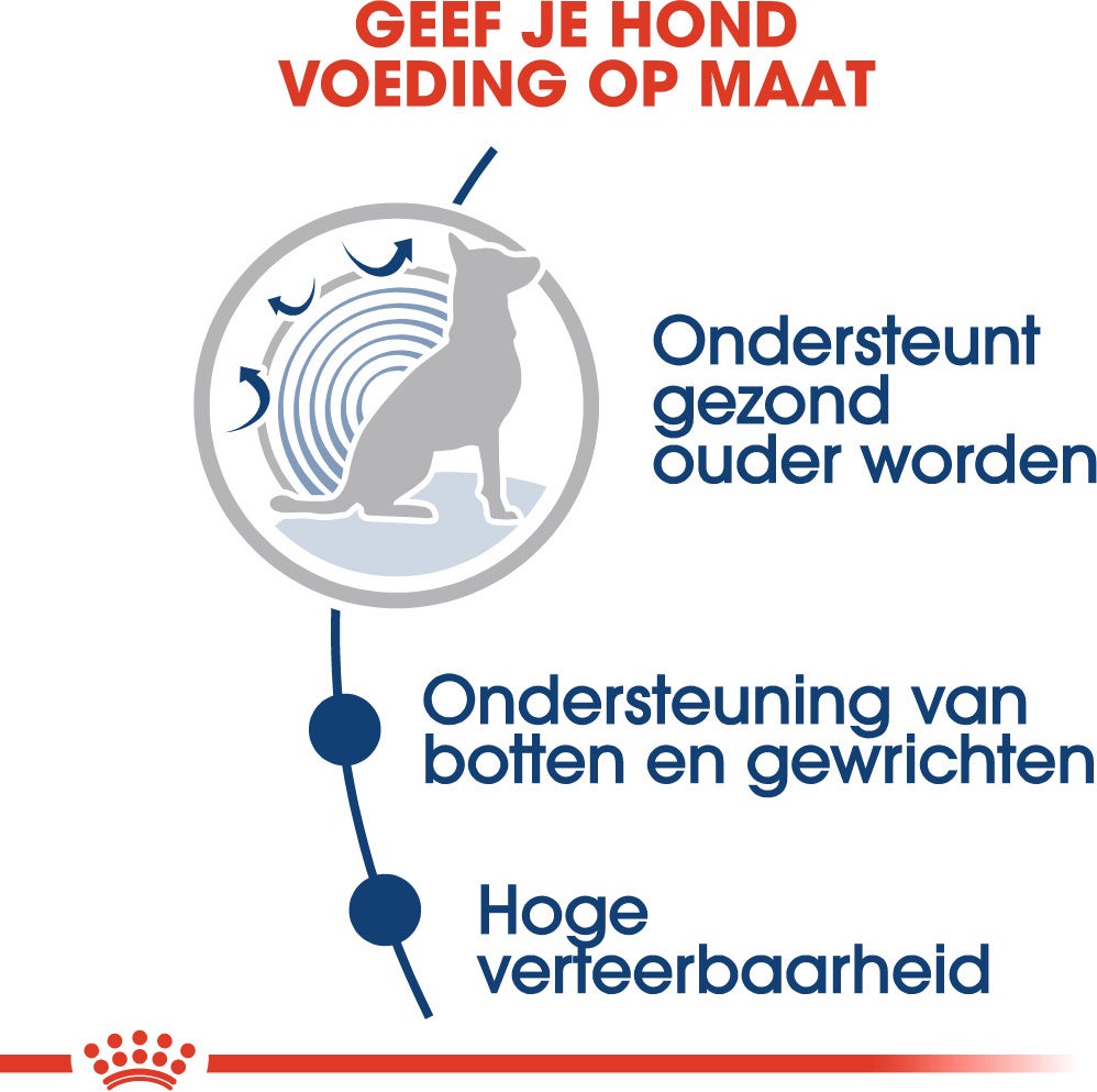 Royal Canin hondenvoer in saus Maxi Ageing 140 g 10 stuks