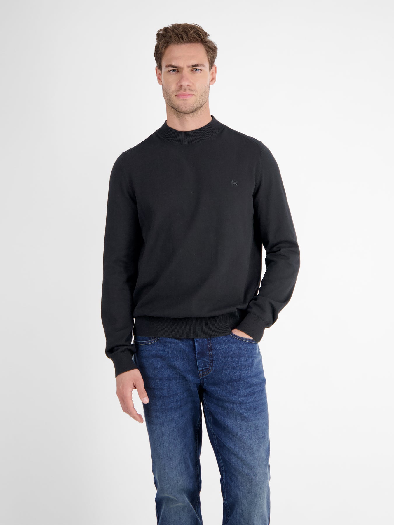 Herren-Pullover mit Turtle-Neck