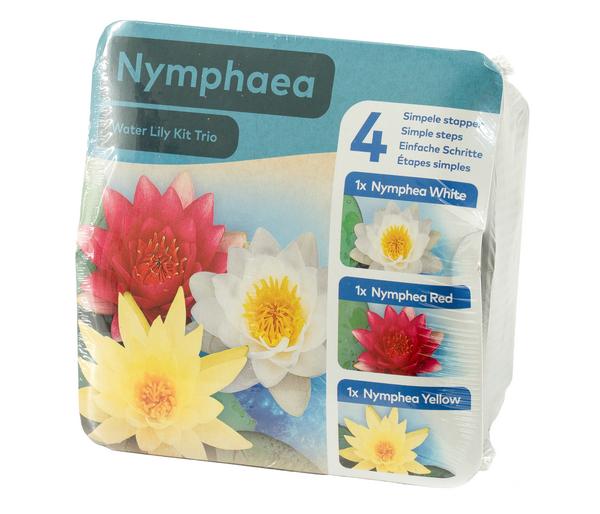 Teichpflanzen Komplett-Set Seerose, 6-teilig