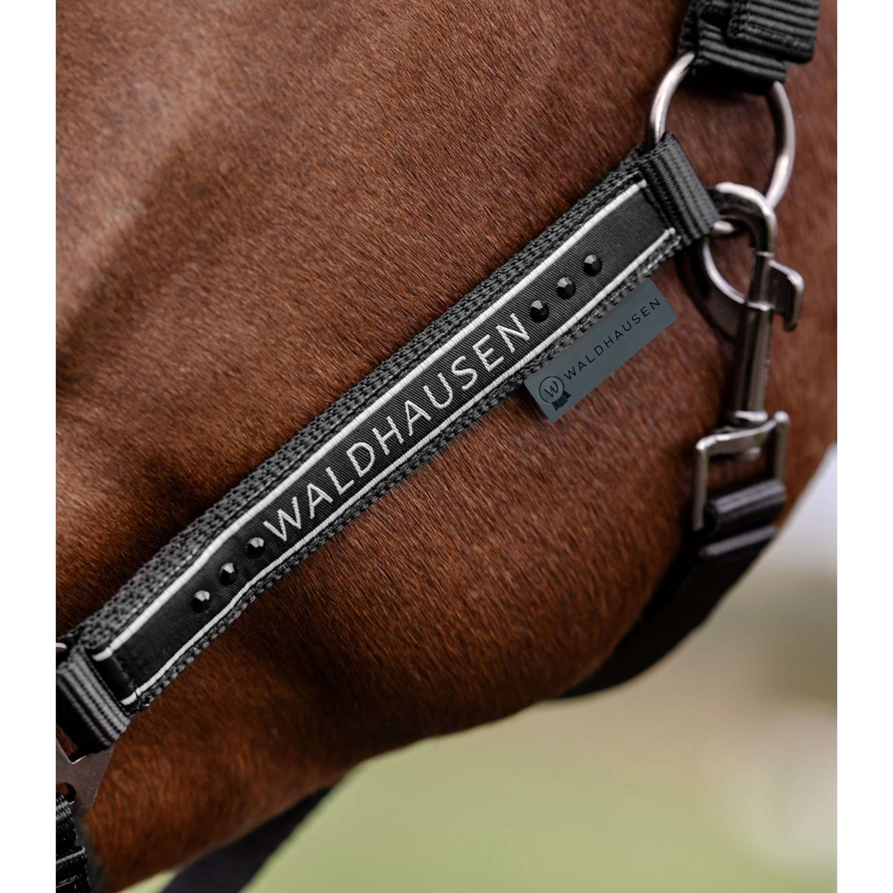 Waldhausen Halster Elegant Zwart/Zwart