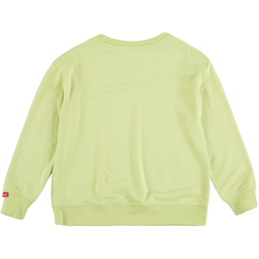 Levi's® Kids Sweatshirt Nile Green