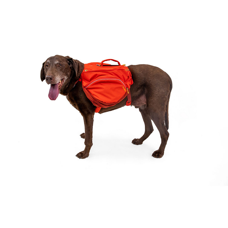 Ruffwear Palisades Hunderucksack