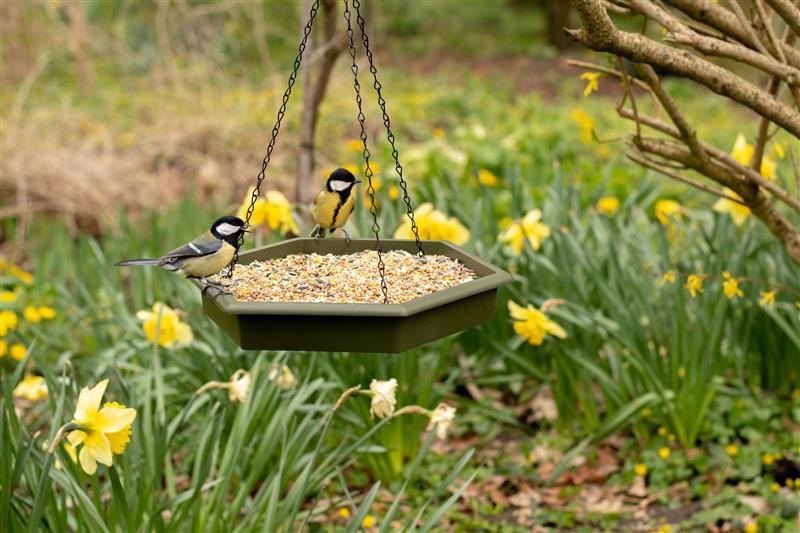 CJ Wildlife vogelbad groen duoset D 32 H 5 cm